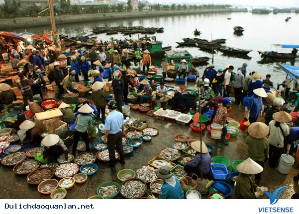 Chợ Hải Sản Quan Lạn Thiên Đường Hải Sản Thiên Đường Hải Sản - Chợ Cá Quan Lạn - Ảnh 1
